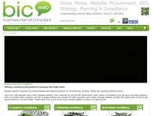 Tablet Screenshot of businessinternetconsultant.com